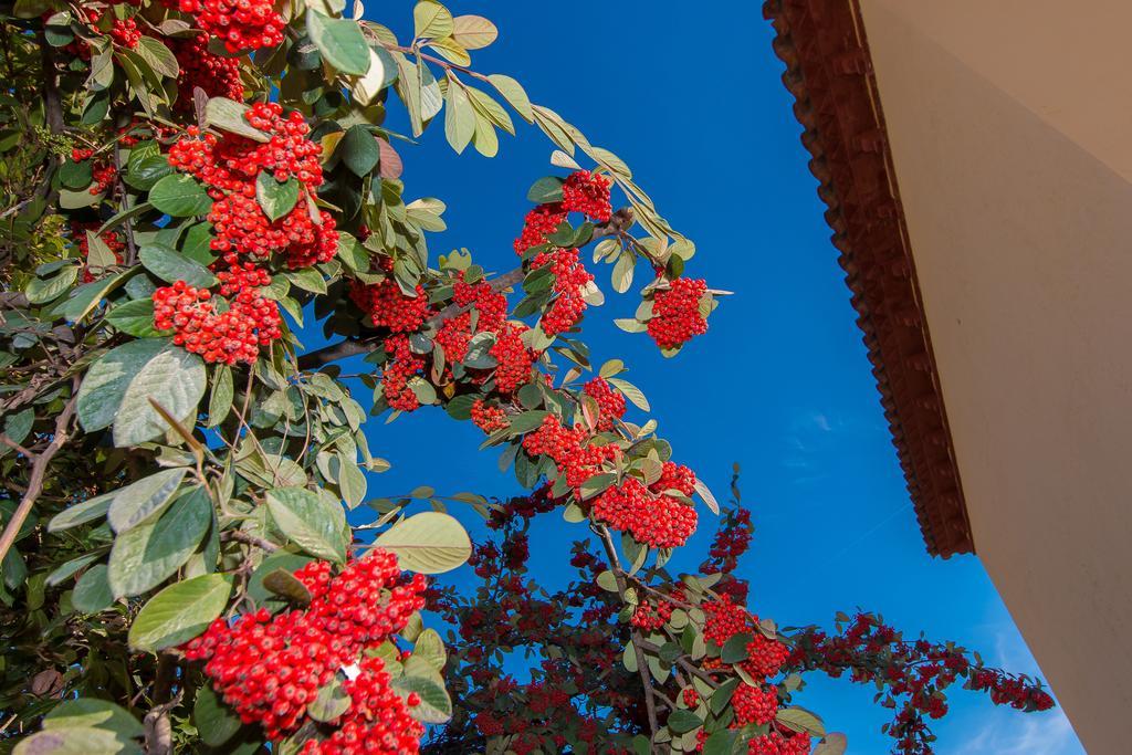 Tu Casa En Barcelona Villa Sant Cugat del Vallès Cameră foto